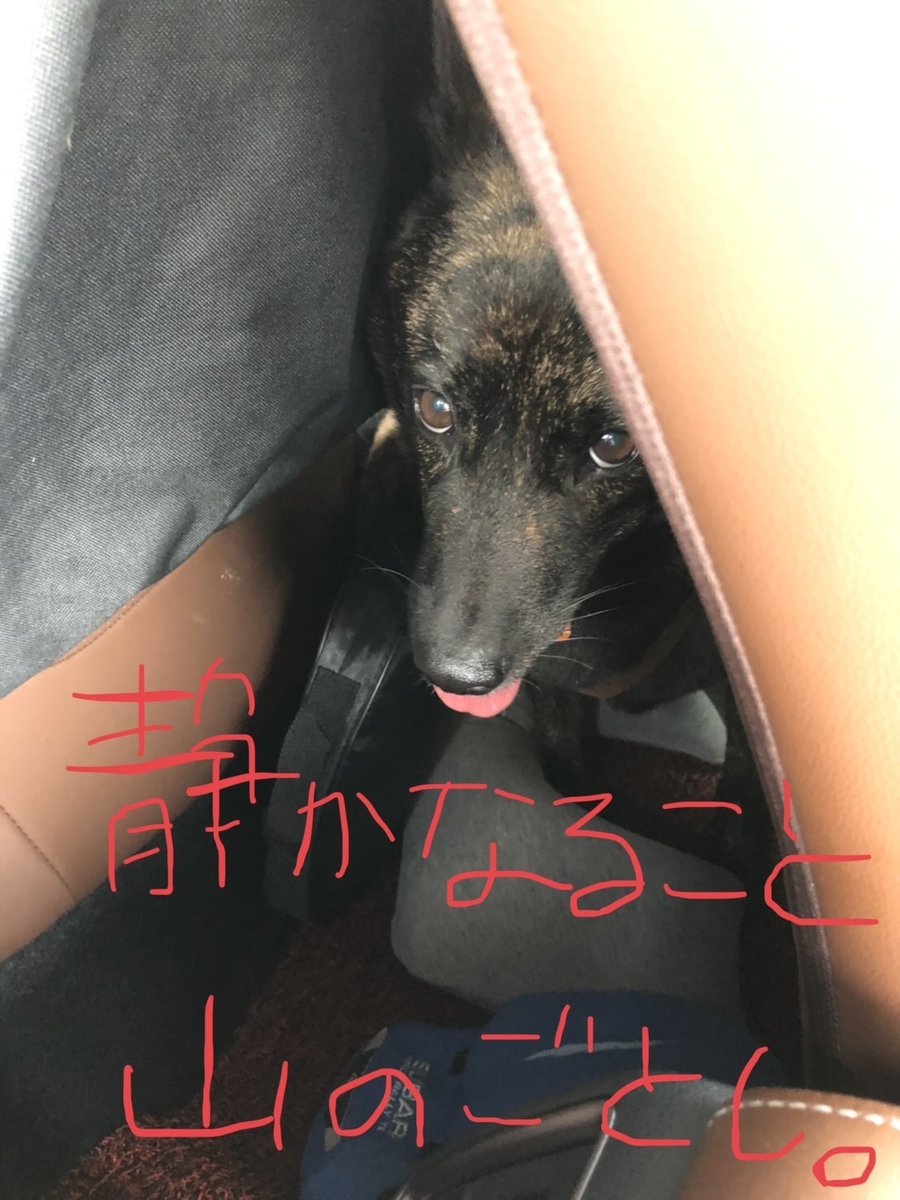 f:id:drunkard_kim:20200927065957j:plain