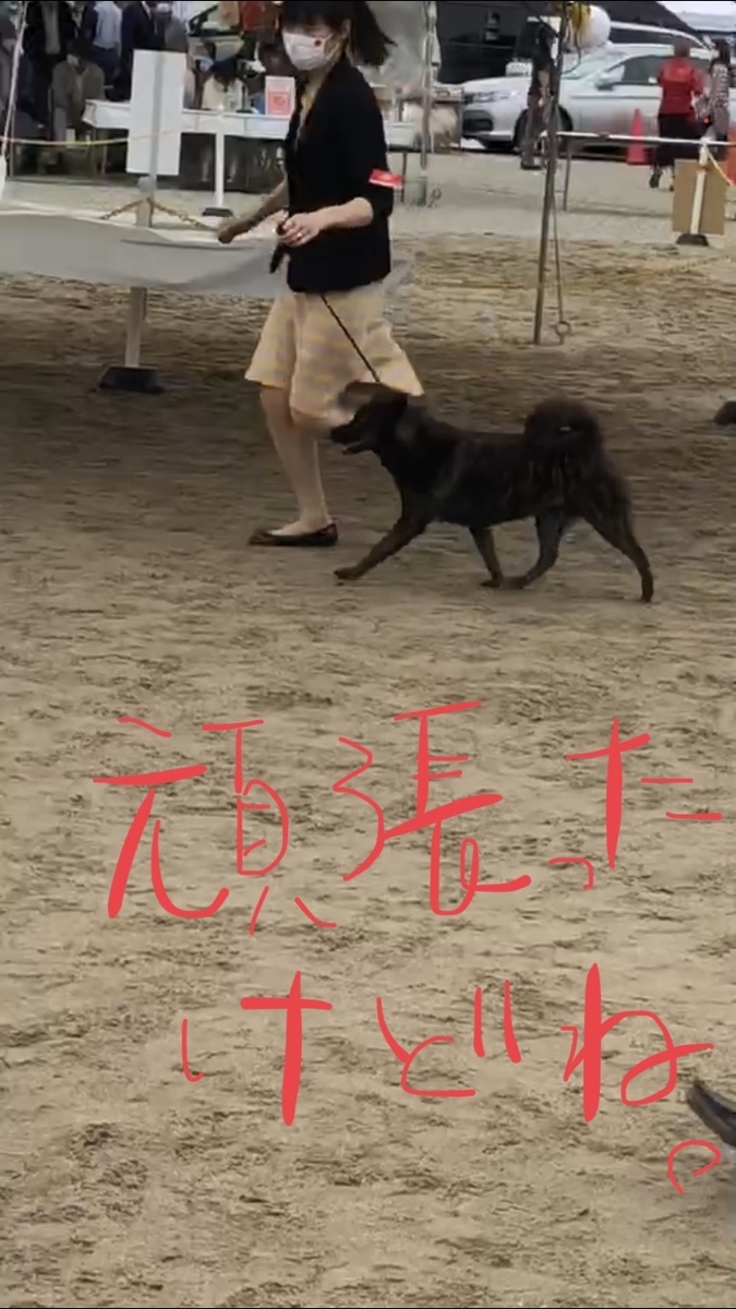f:id:drunkard_kim:20200927181111j:plain