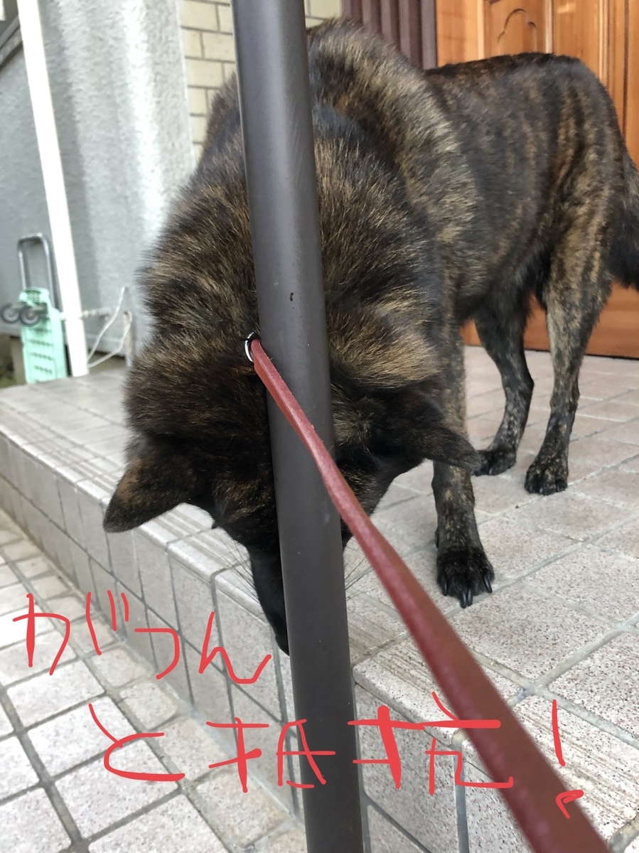 f:id:drunkard_kim:20201003094902j:plain