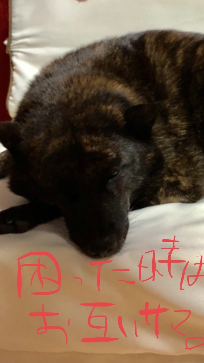 f:id:drunkard_kim:20201009080525j:plain