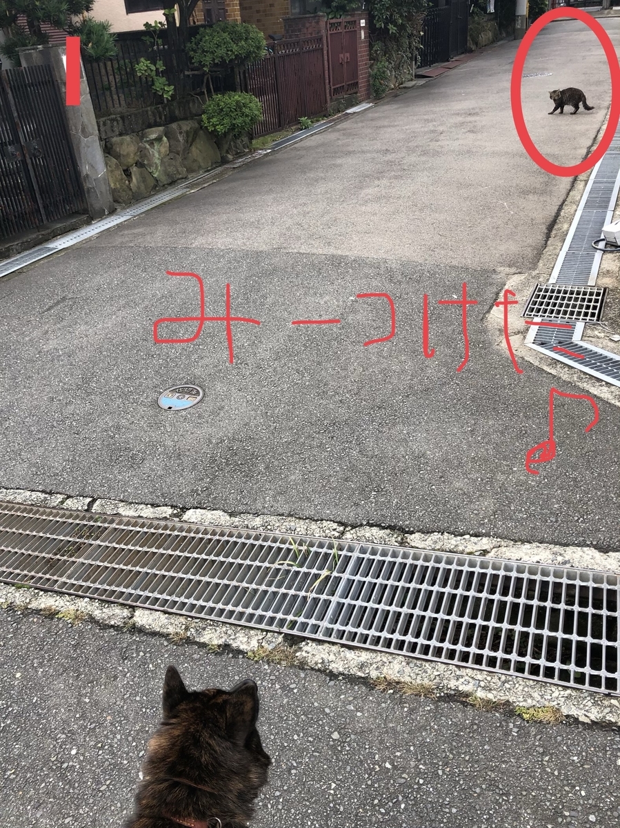 f:id:drunkard_kim:20201011133302j:plain