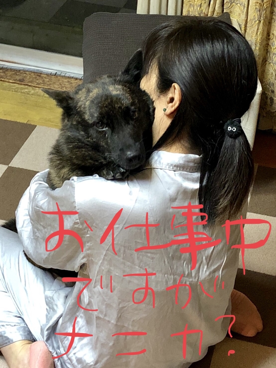 f:id:drunkard_kim:20201013145543j:plain