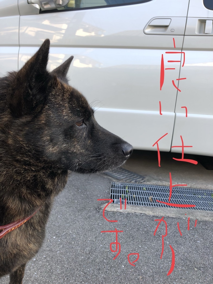 f:id:drunkard_kim:20201014081627j:plain f:id:drunkard_kim:20201014081627j:plain