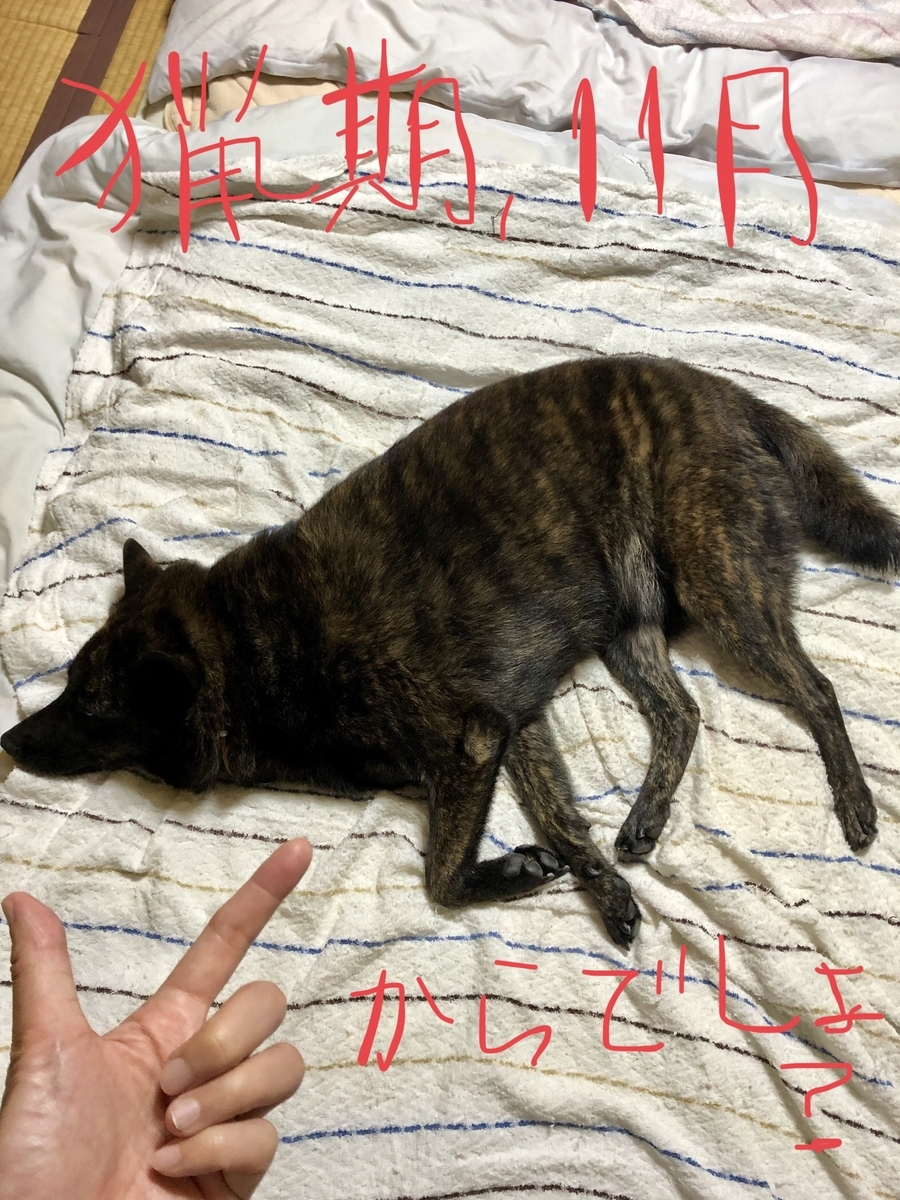 f:id:drunkard_kim:20201016074711j:plain