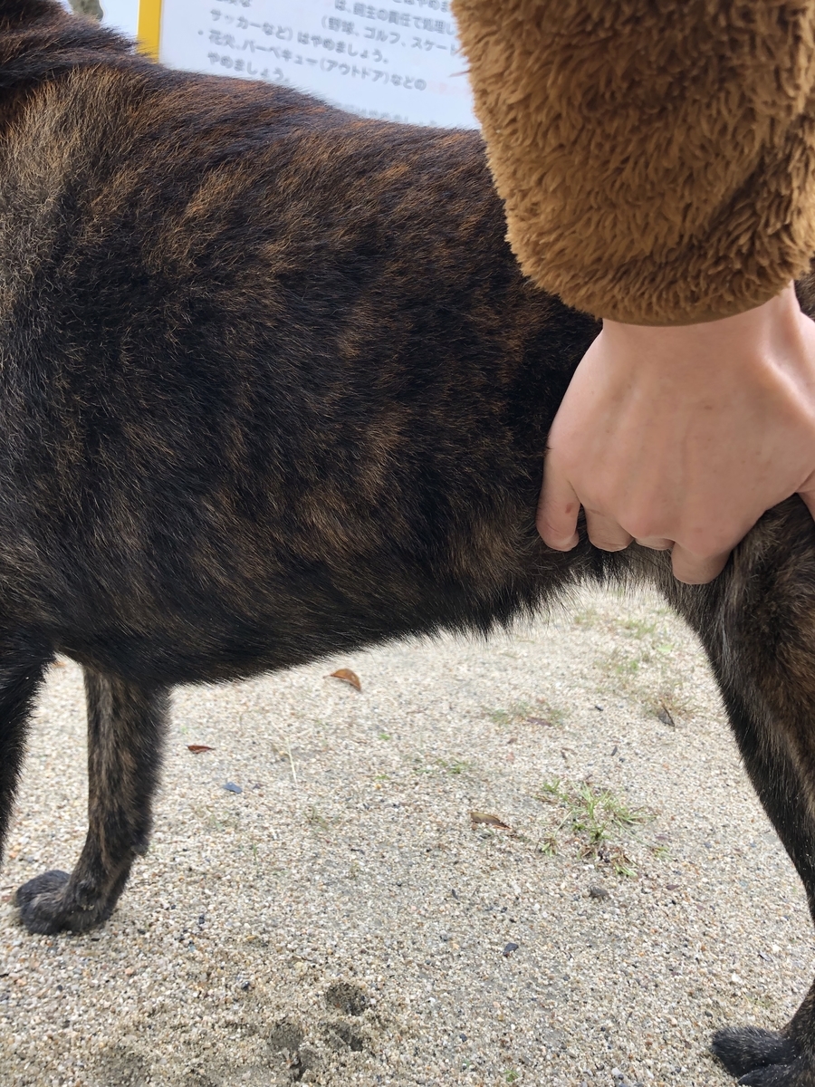 f:id:drunkard_kim:20201018135530j:plain