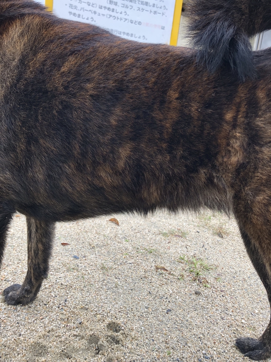 f:id:drunkard_kim:20201018135605j:plain