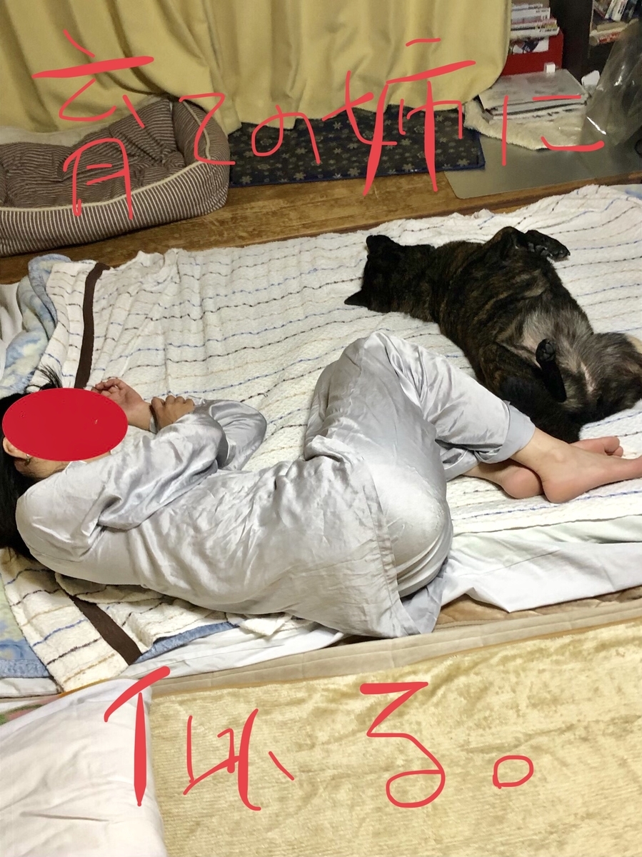 f:id:drunkard_kim:20201021075158j:plain