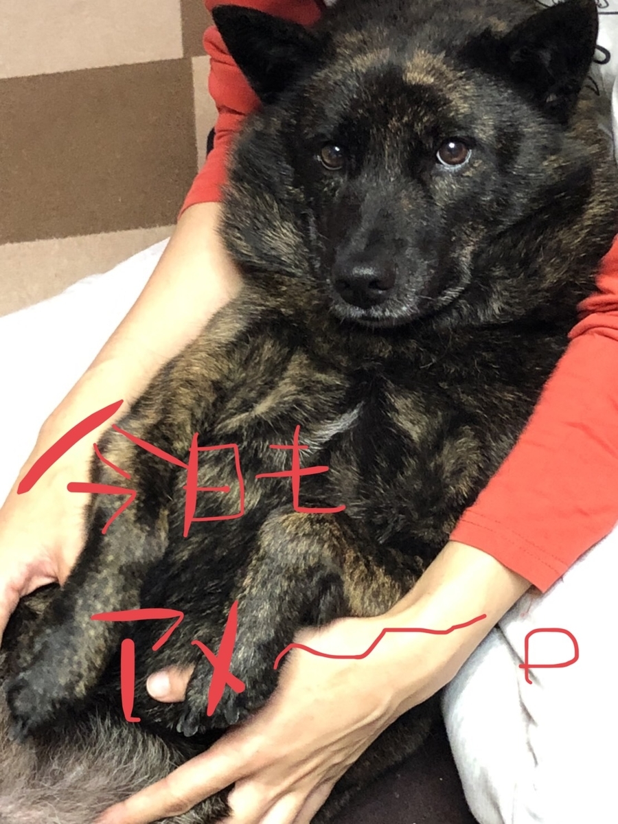 f:id:drunkard_kim:20201023081912j:plain