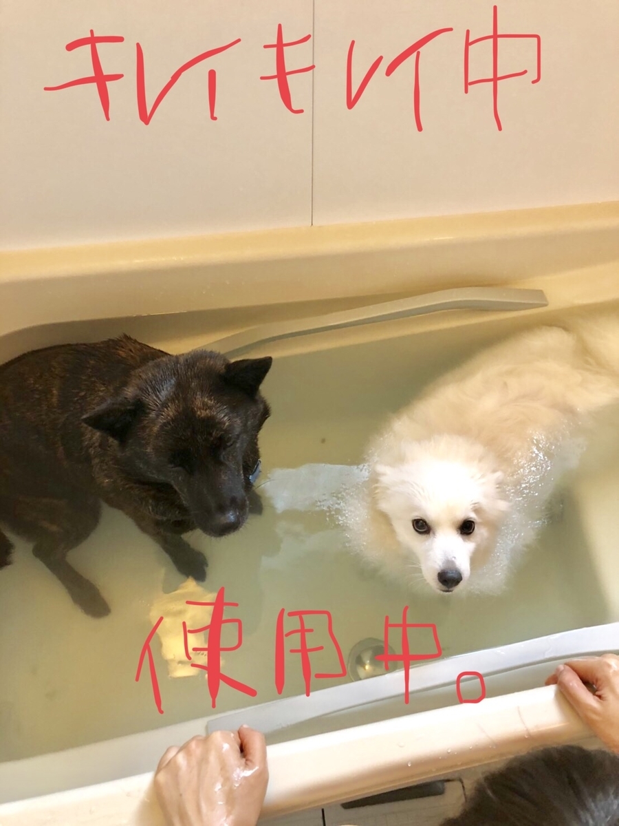 f:id:drunkard_kim:20201028080527j:plain