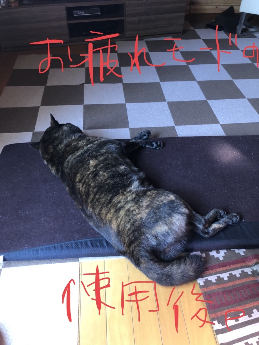 f:id:drunkard_kim:20201028080605j:plain
