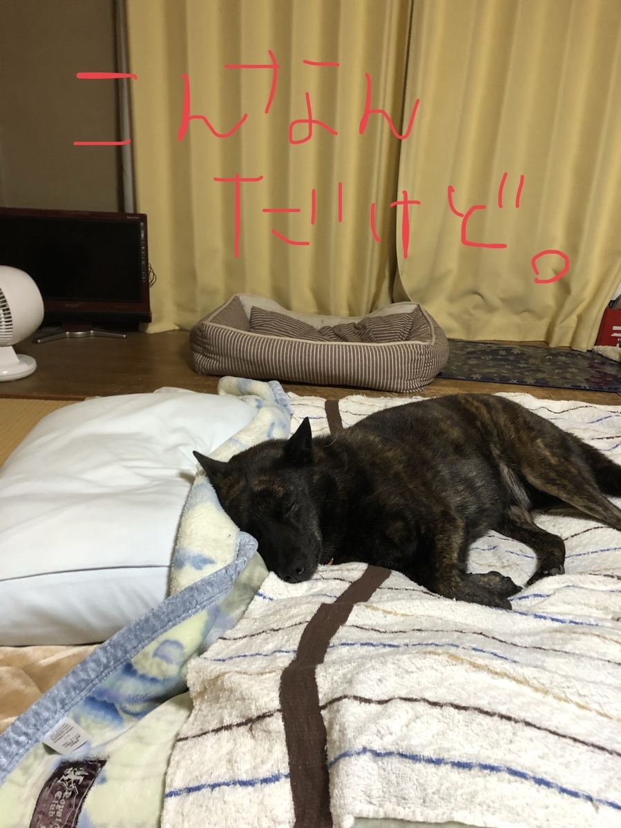 f:id:drunkard_kim:20201030080334j:plain