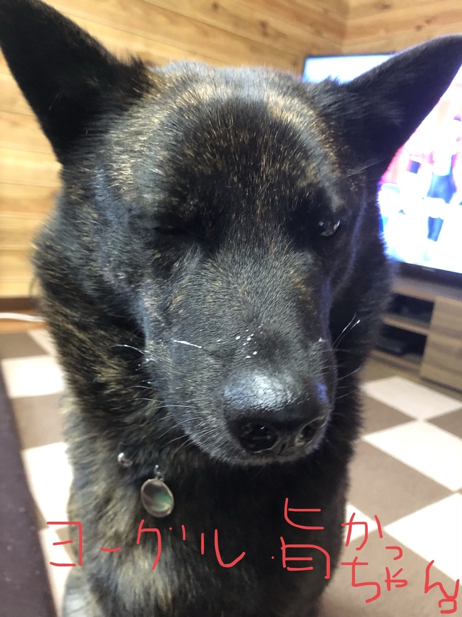 f:id:drunkard_kim:20201106073924j:plain