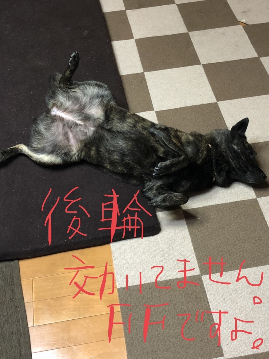 f:id:drunkard_kim:20201109080956j:plain
