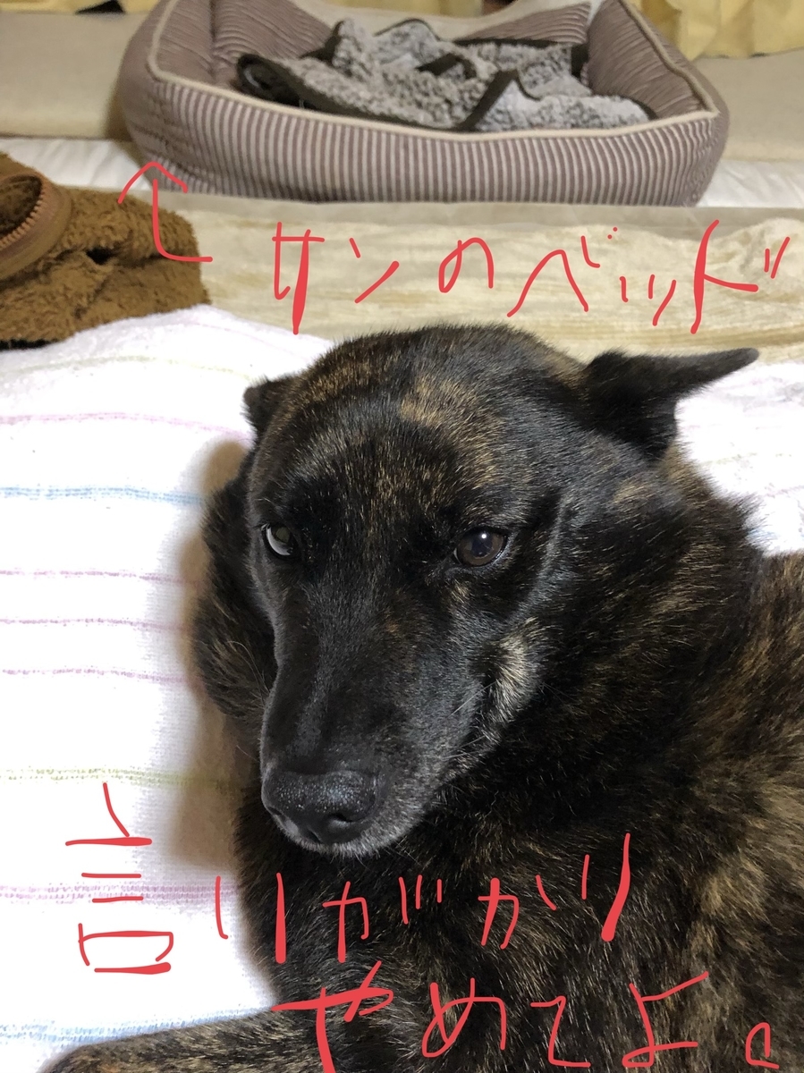 f:id:drunkard_kim:20201118075630j:plain