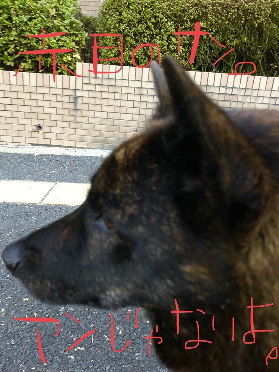f:id:drunkard_kim:20201119081208j:plain