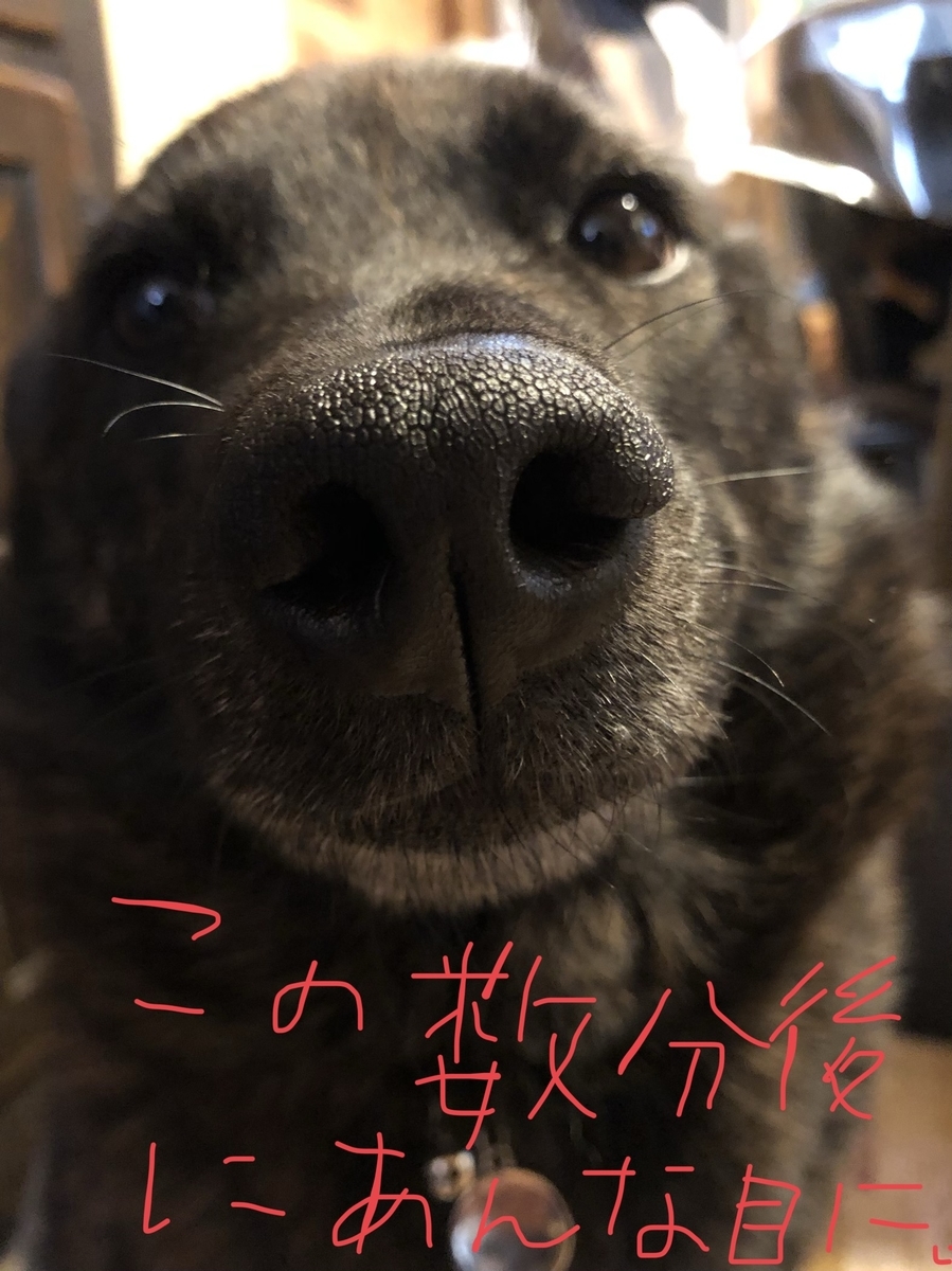 f:id:drunkard_kim:20201129083515j:plain