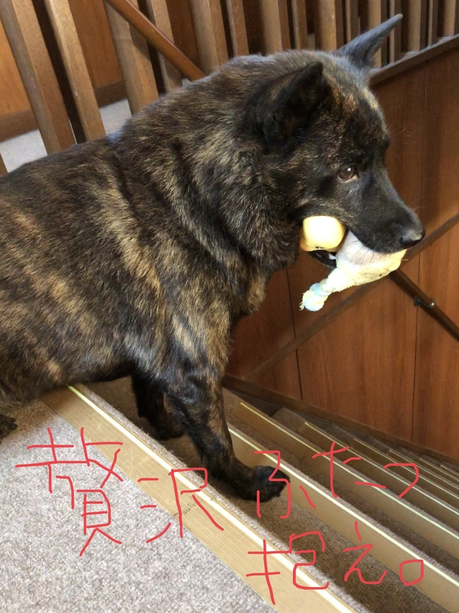 f:id:drunkard_kim:20201203082901j:plain