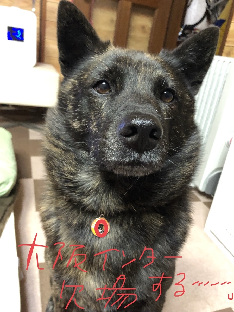 f:id:drunkard_kim:20201206123409j:plain