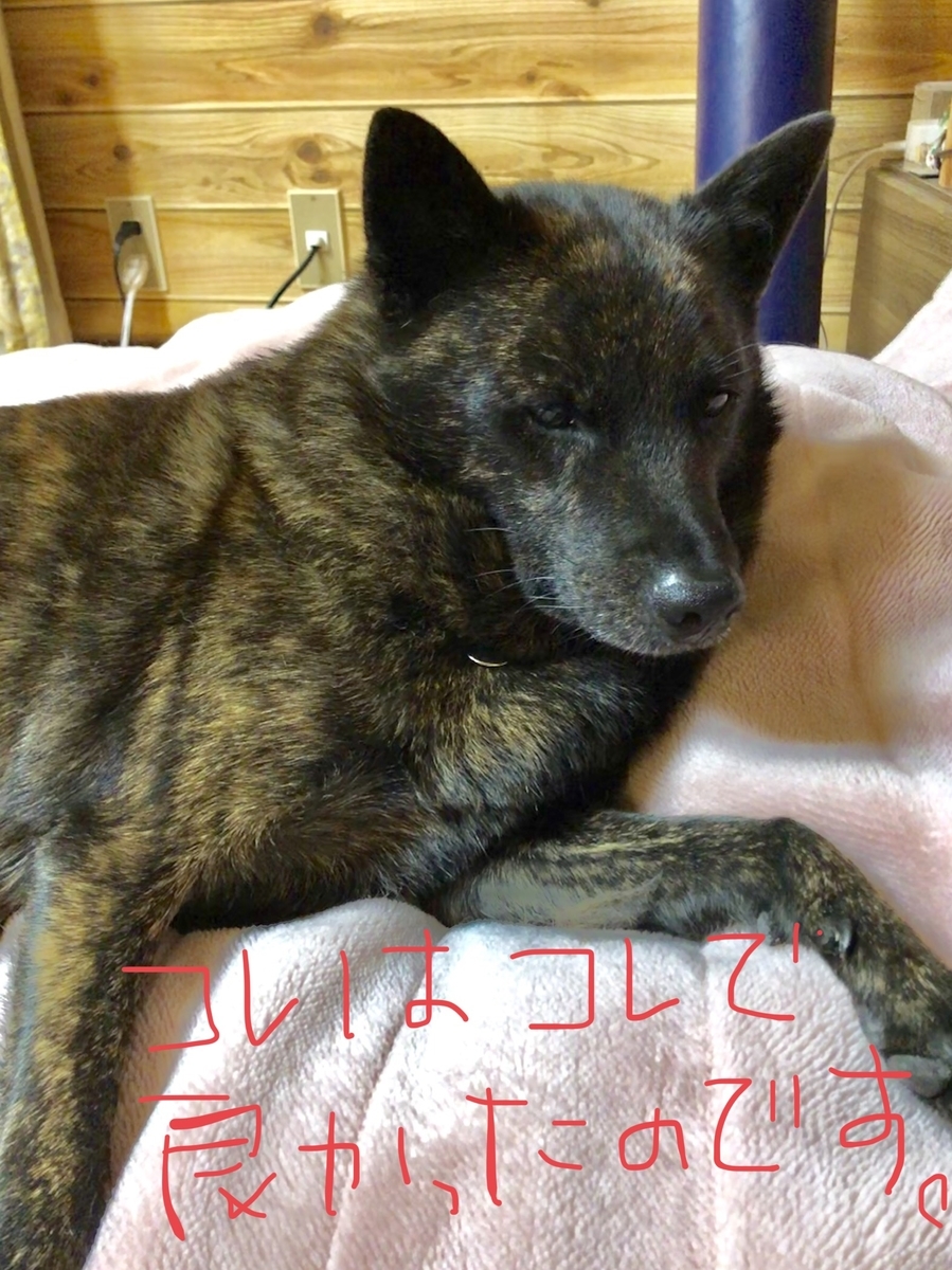 f:id:drunkard_kim:20201207080602j:plain