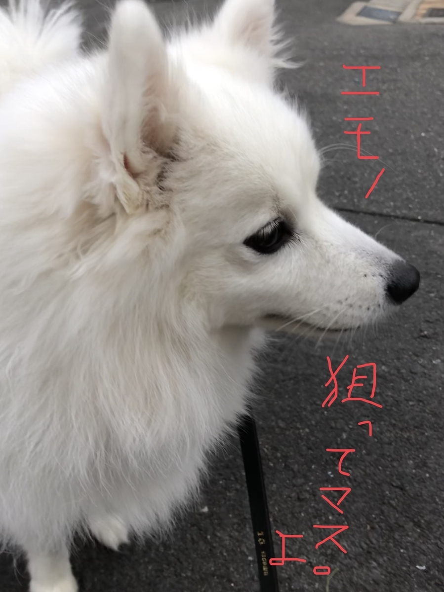 f:id:drunkard_kim:20201212123209j:plain