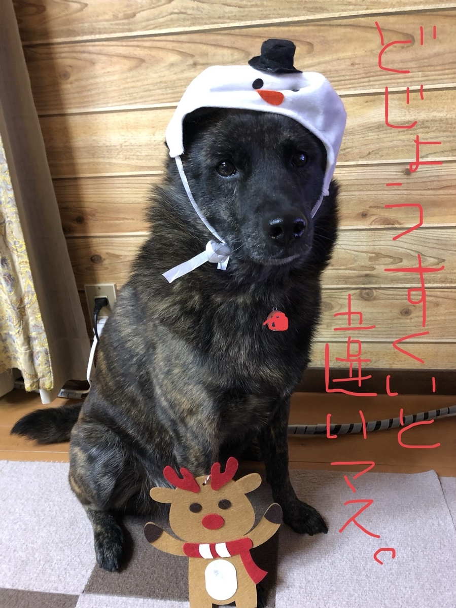 f:id:drunkard_kim:20201225124814j:plain
