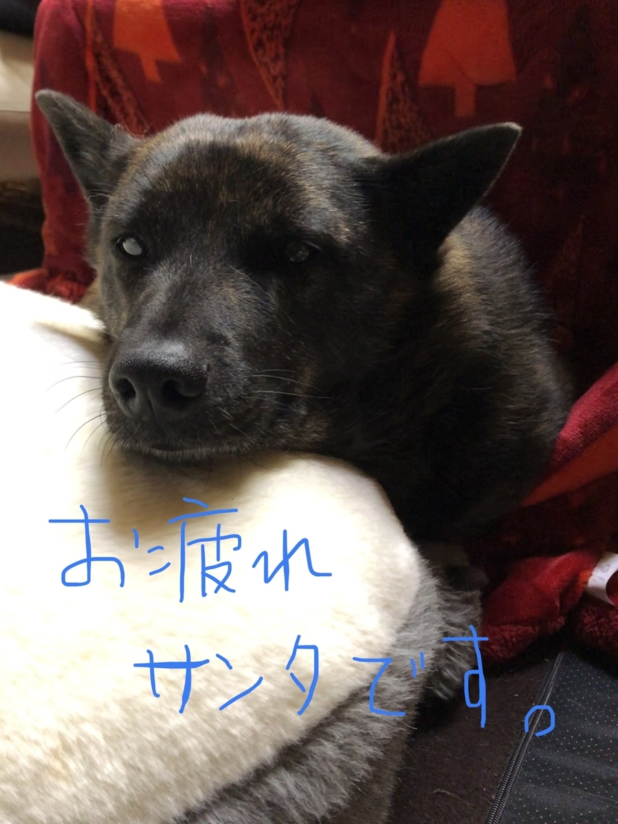 f:id:drunkard_kim:20201226162652j:plain