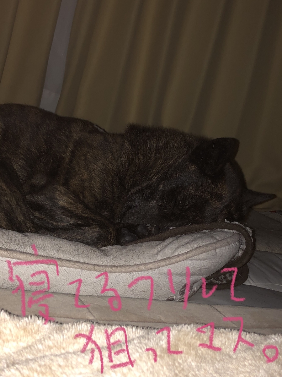 f:id:drunkard_kim:20210109175935j:plain