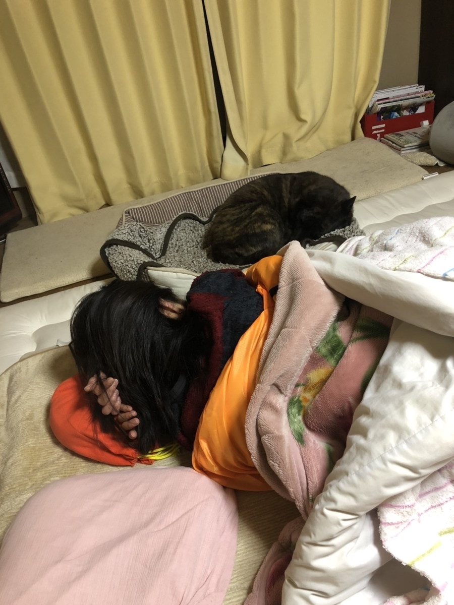 f:id:drunkard_kim:20210122075227j:plain