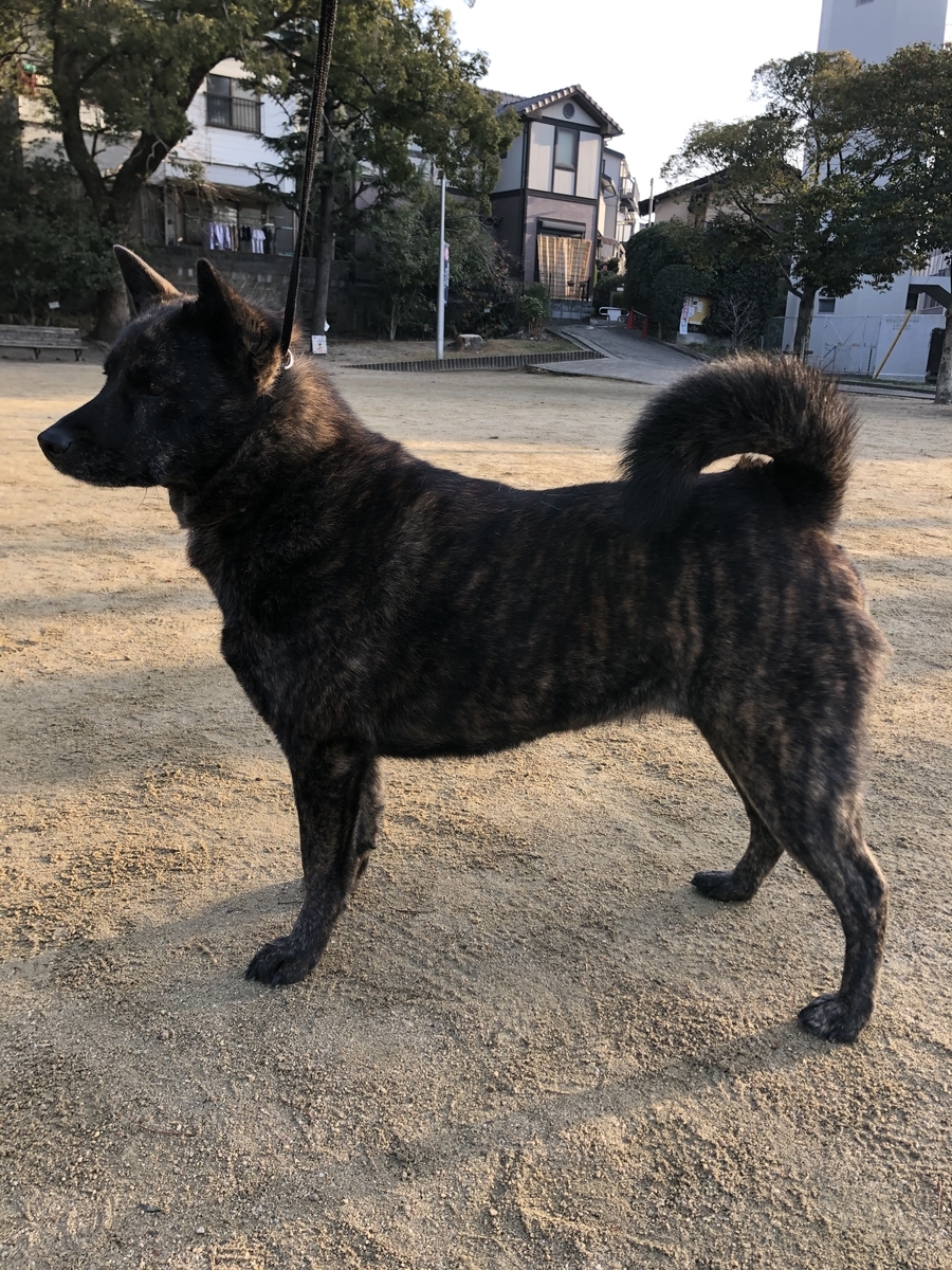 f:id:drunkard_kim:20210123081205j:plain