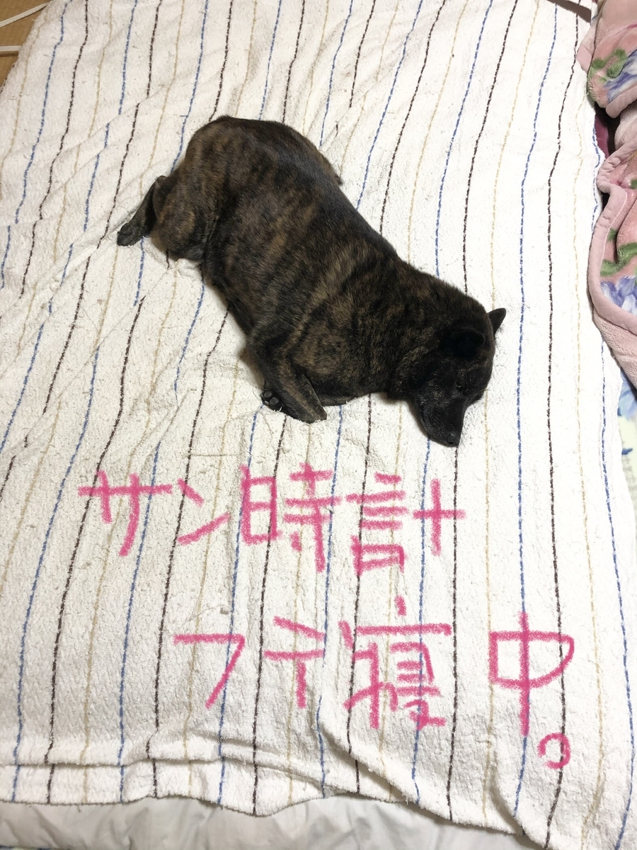 f:id:drunkard_kim:20210206094738j:plain