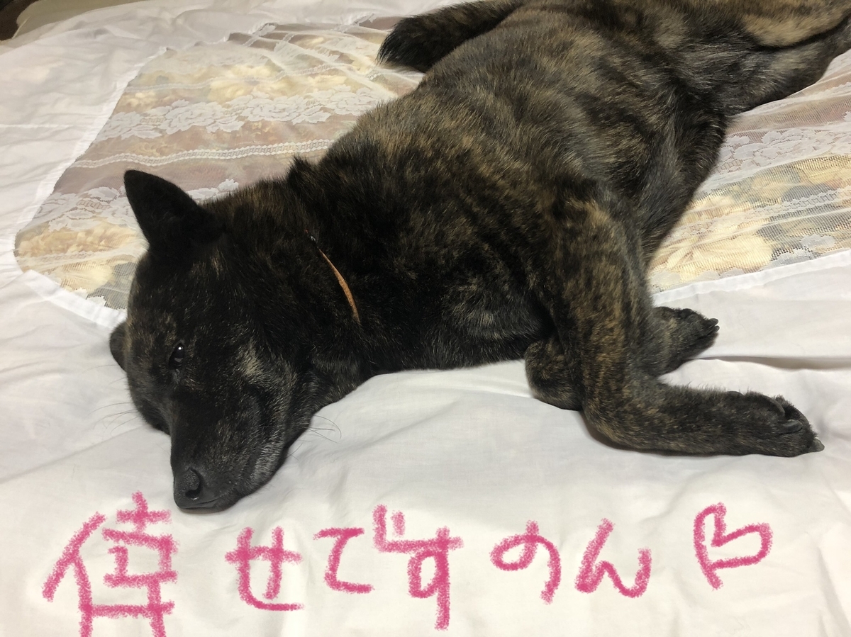 f:id:drunkard_kim:20210215080537j:plain