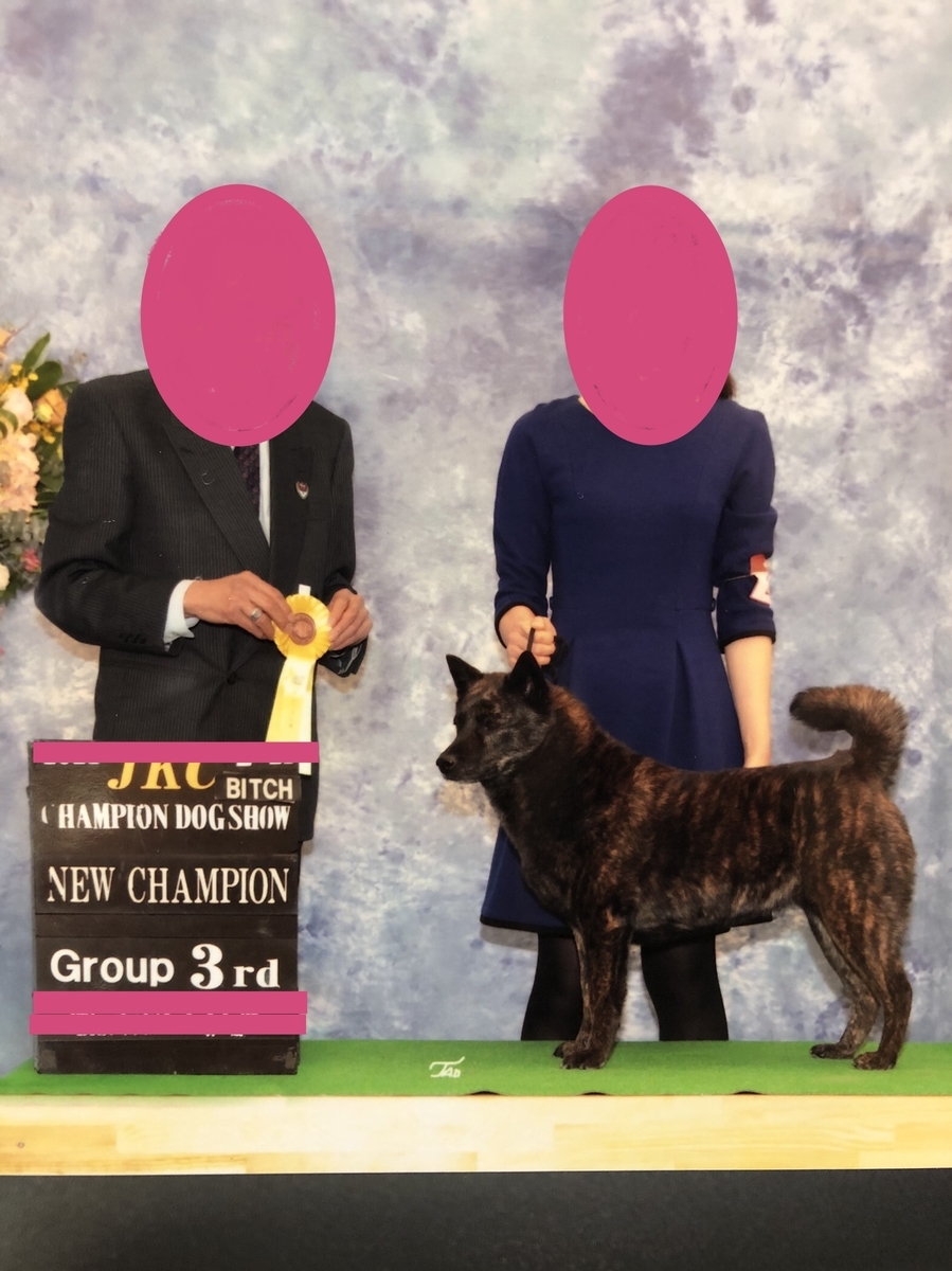 f:id:drunkard_kim:20210309112150j:plain