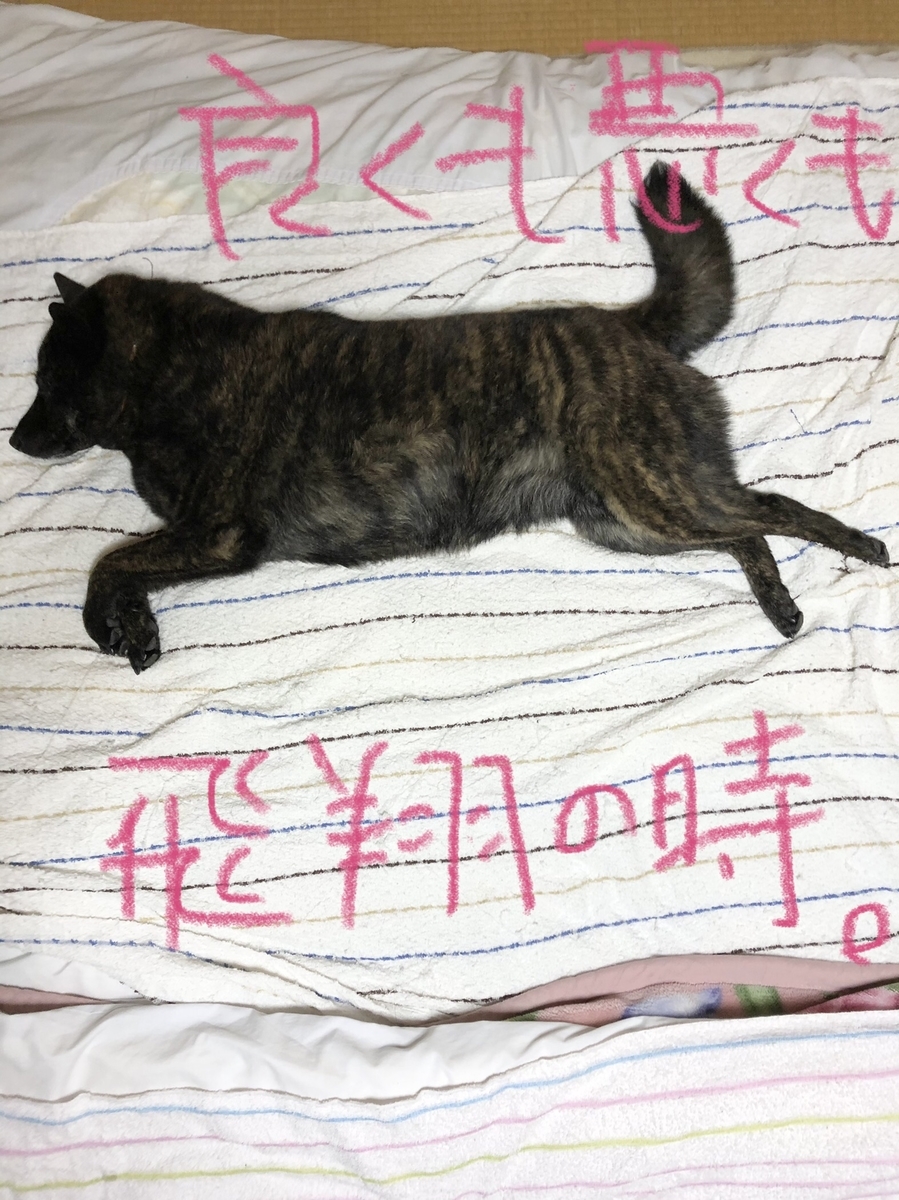 f:id:drunkard_kim:20210327095034j:plain