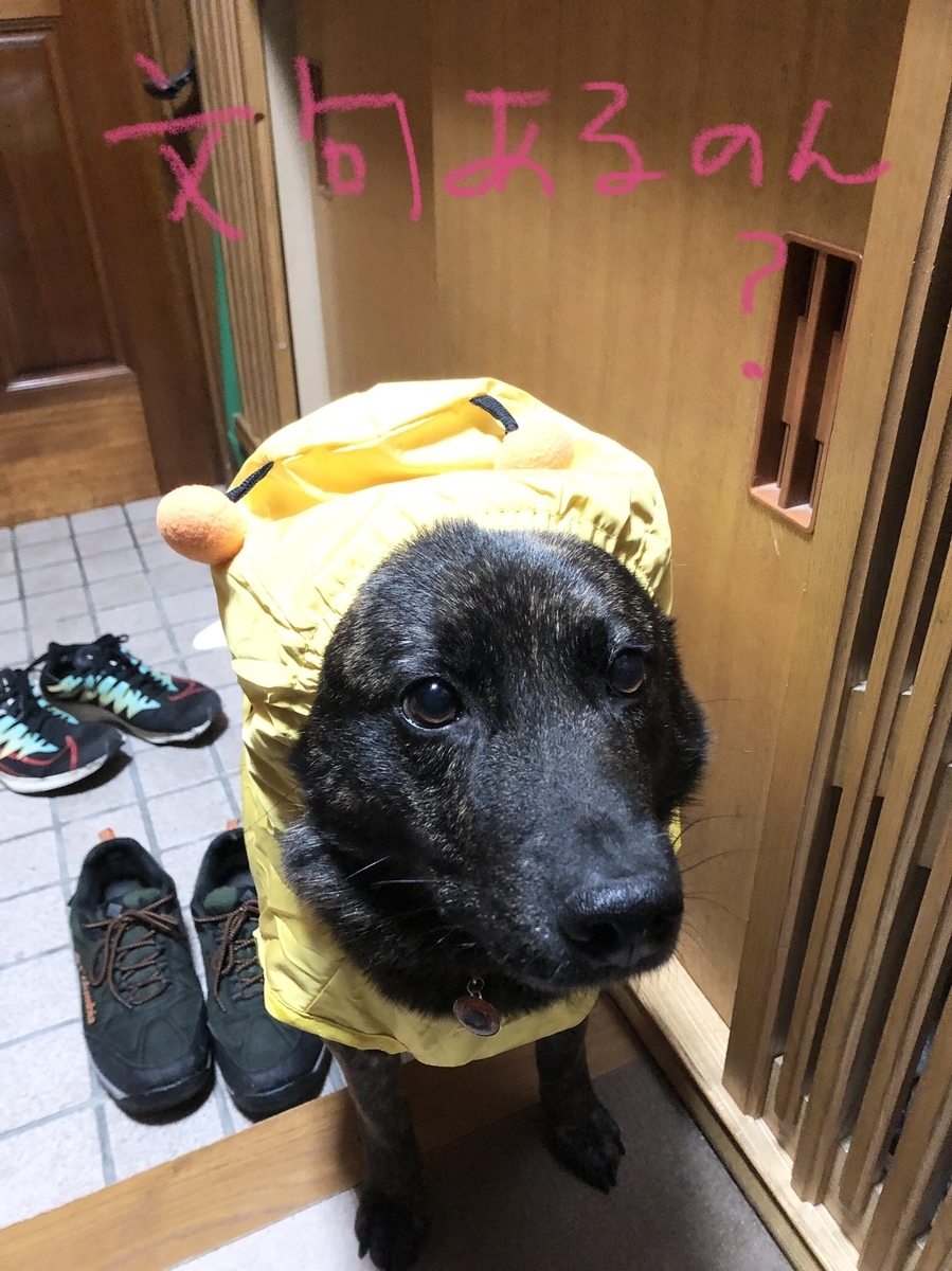 f:id:drunkard_kim:20210404202503j:plain