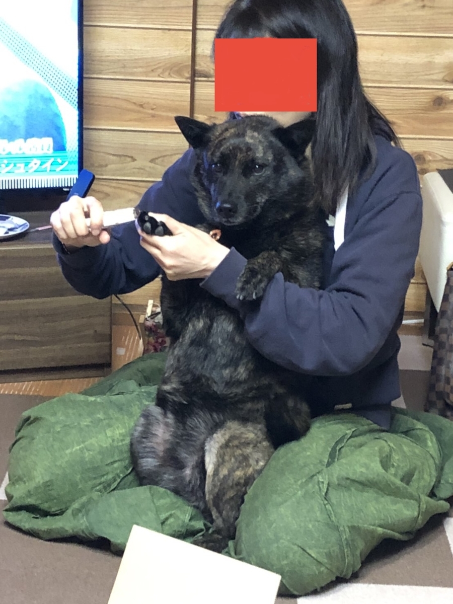 f:id:drunkard_kim:20210502070750j:plain