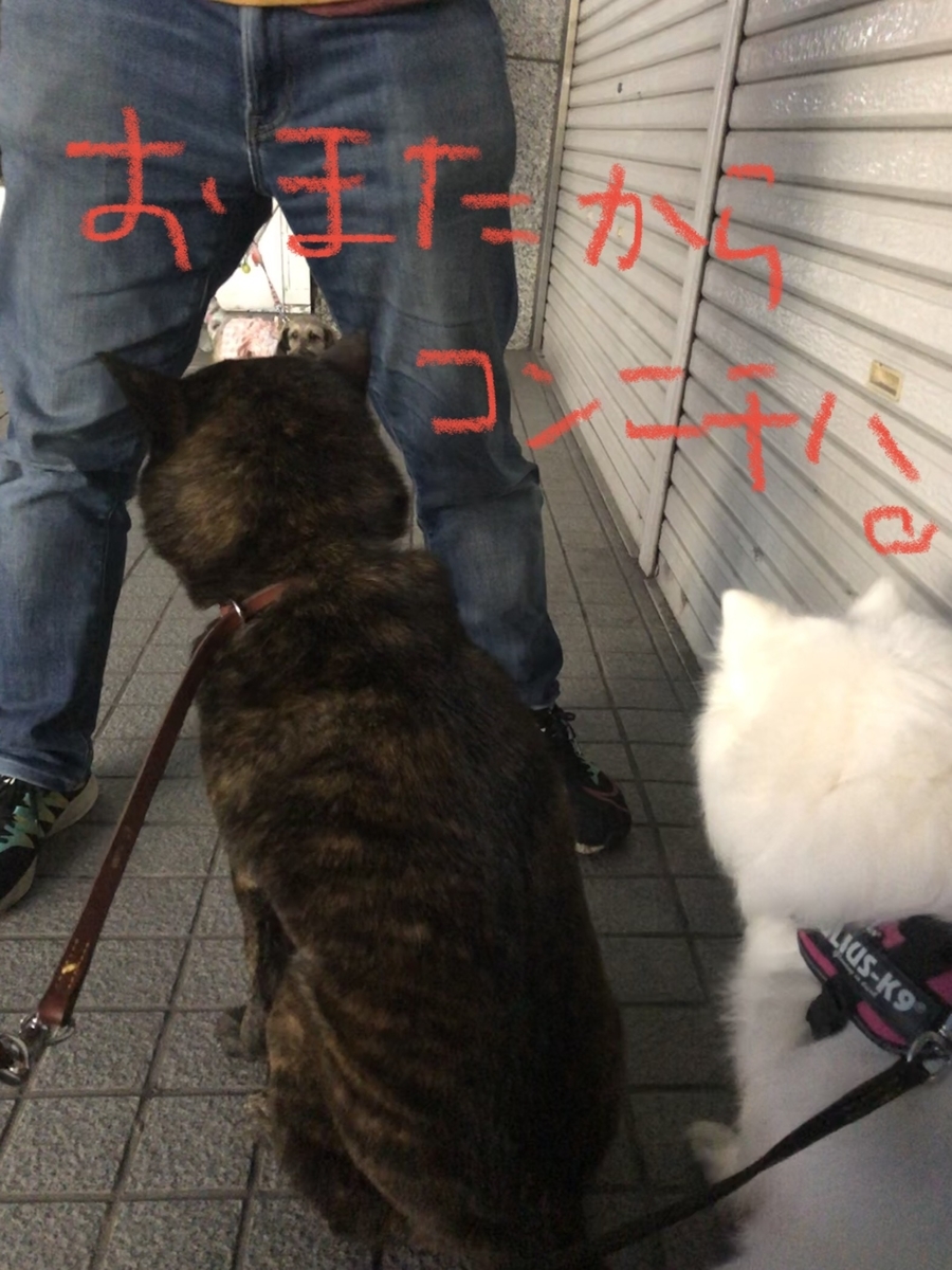 f:id:drunkard_kim:20210508123621j:plain