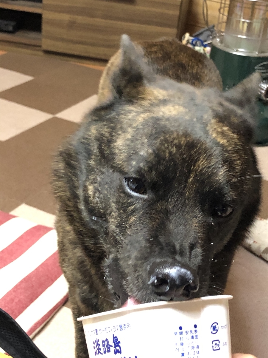 f:id:drunkard_kim:20210509130133j:plain