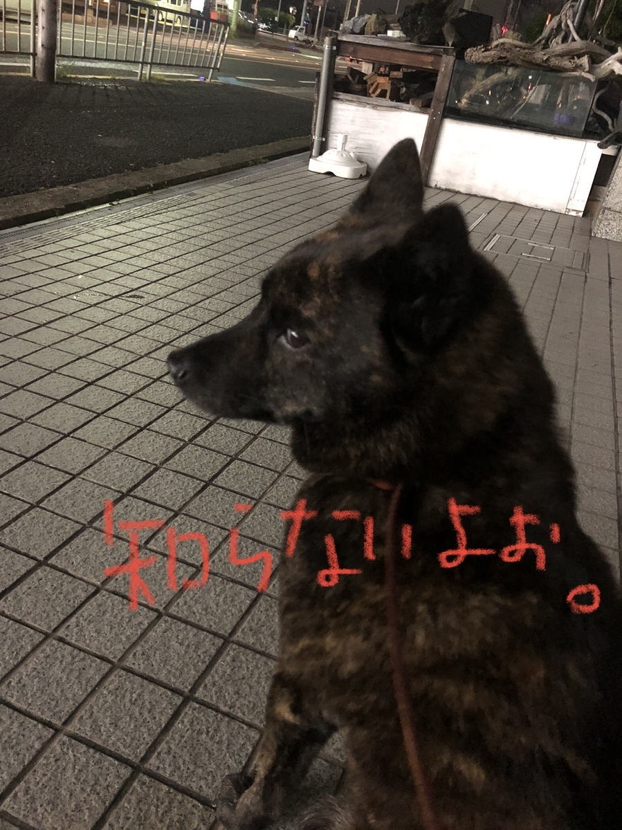 f:id:drunkard_kim:20210514121826j:plain