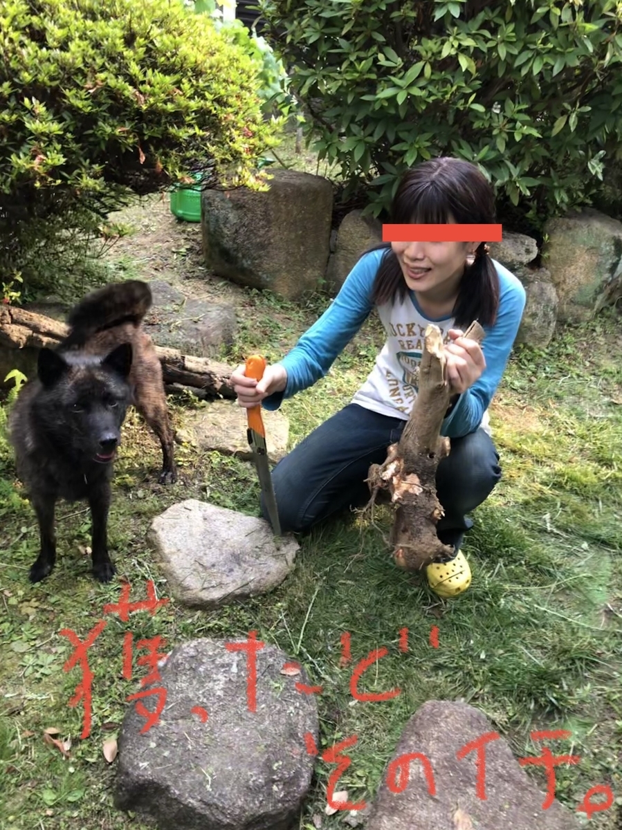 f:id:drunkard_kim:20210609123914j:plain
