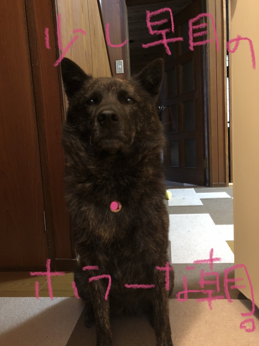 f:id:drunkard_kim:20210619081324j:plain