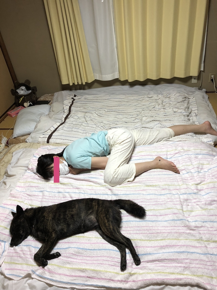 f:id:drunkard_kim:20210624092645j:plain