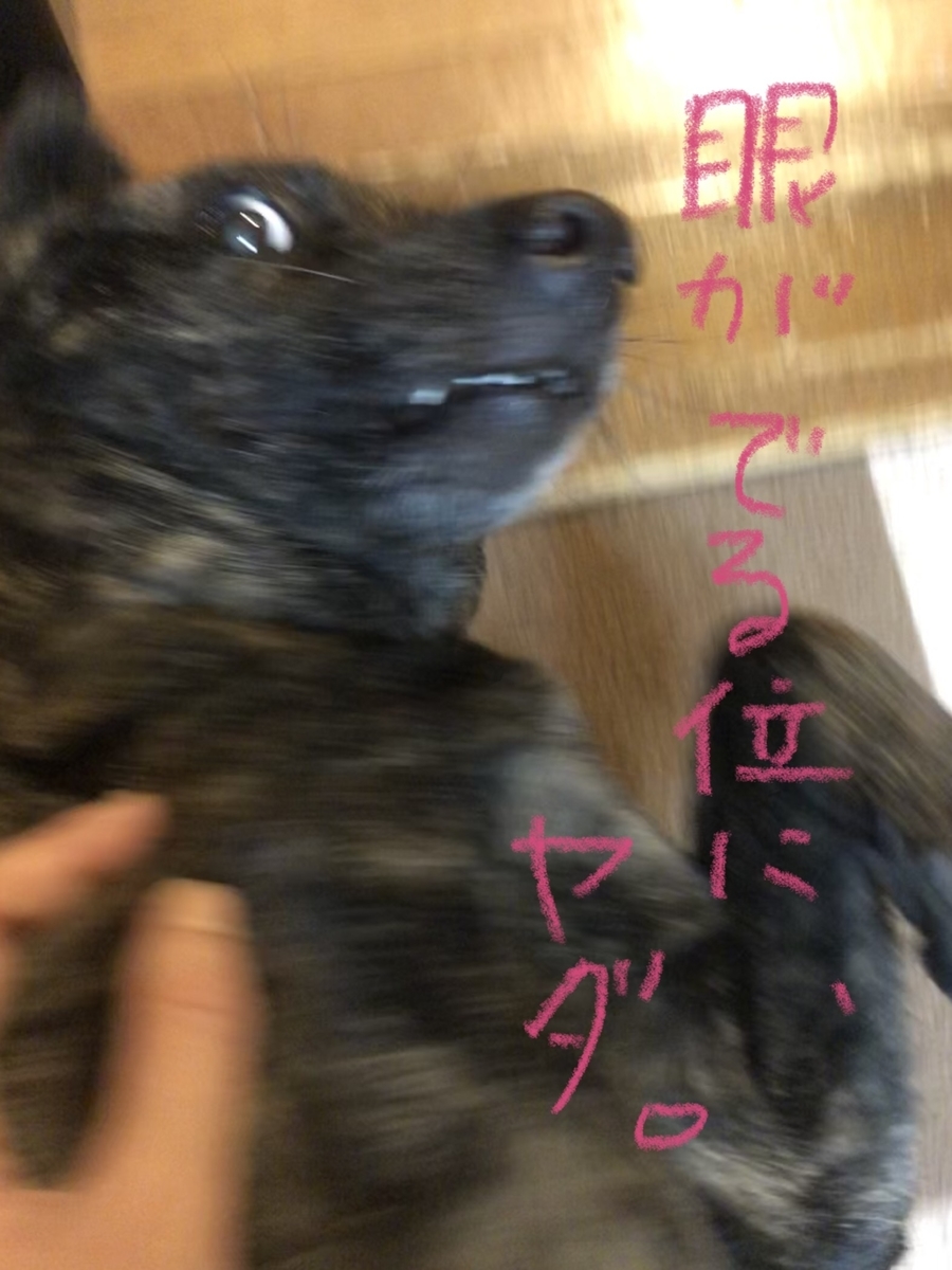 f:id:drunkard_kim:20210707080838j:plain