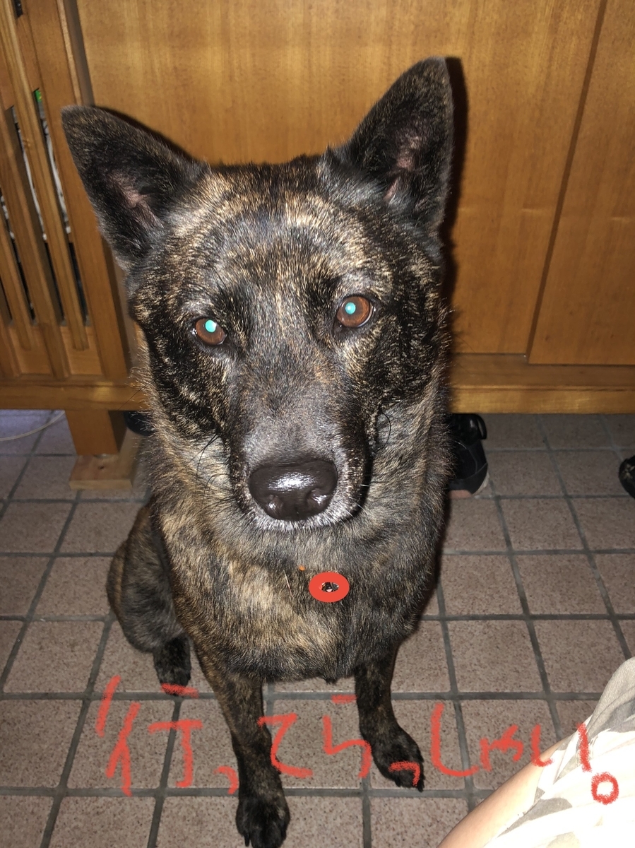 f:id:drunkard_kim:20210719223438j:plain