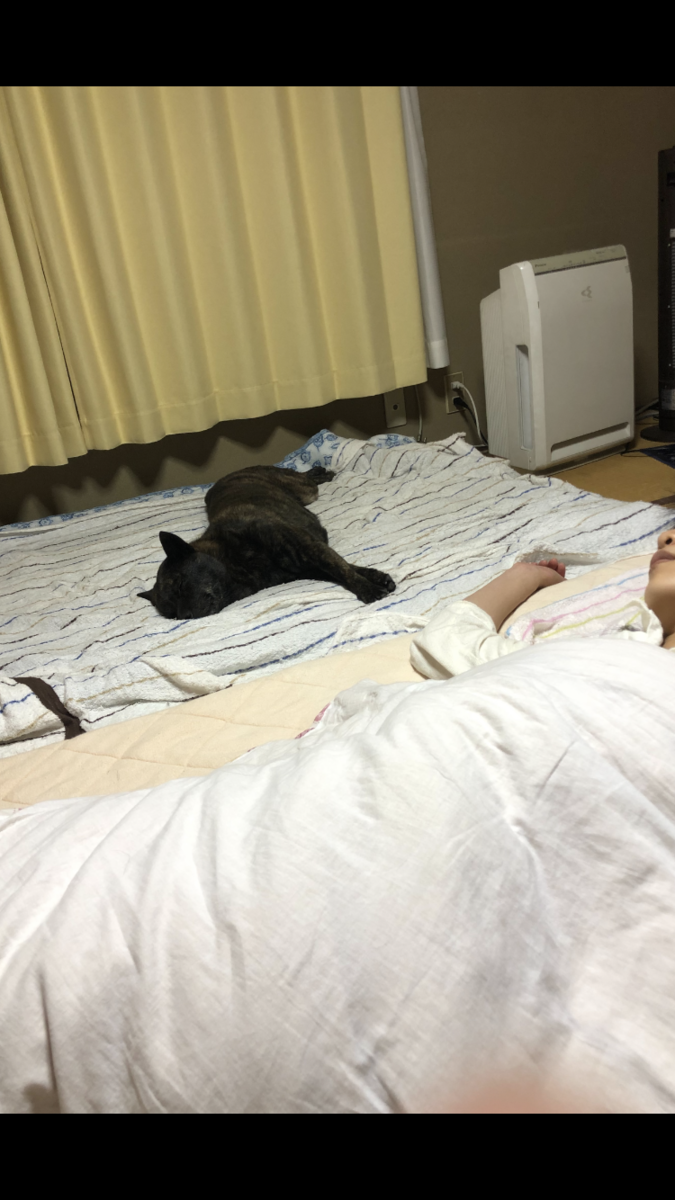 f:id:drunkard_kim:20210720112900p:plain