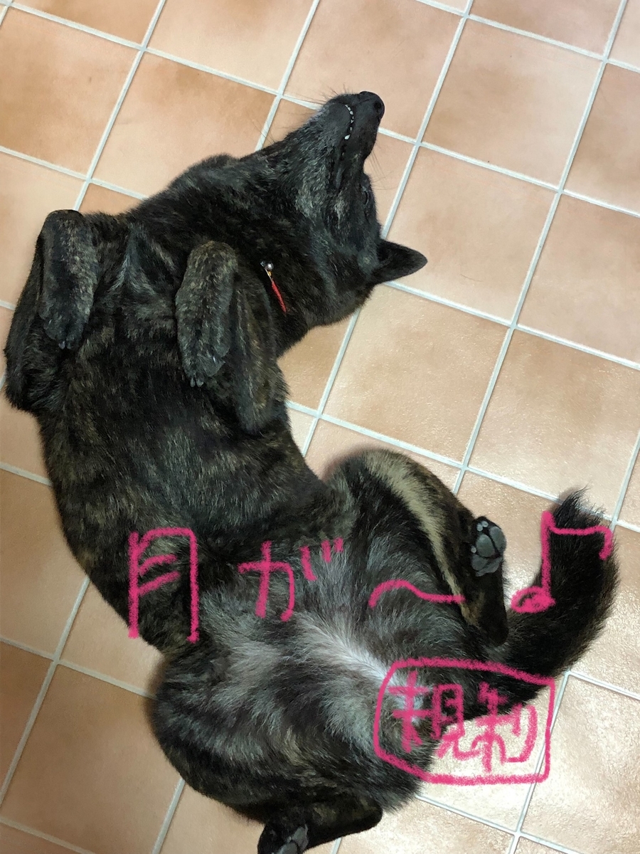 f:id:drunkard_kim:20210817074411j:plain
