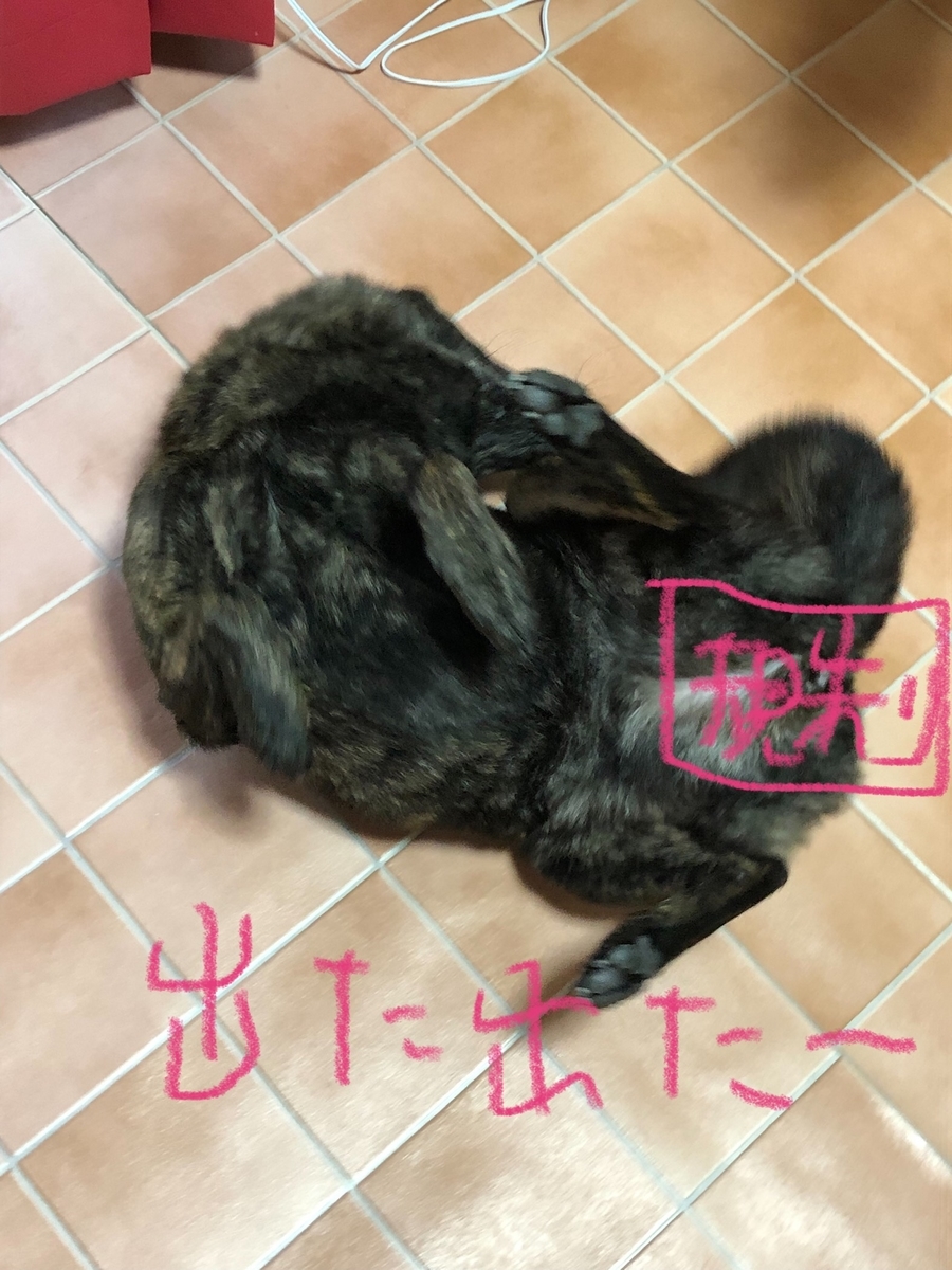 f:id:drunkard_kim:20210817074521j:plain