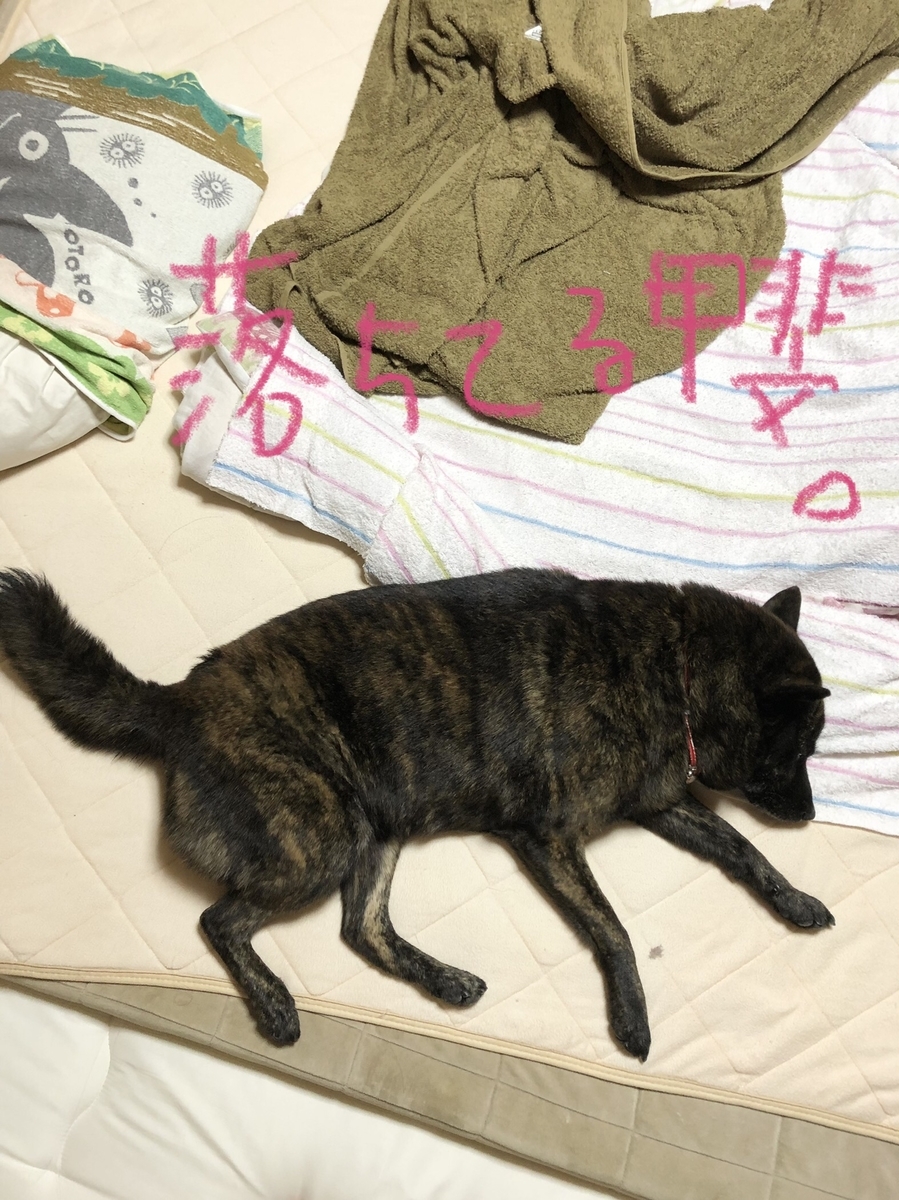 f:id:drunkard_kim:20211010103323j:plain