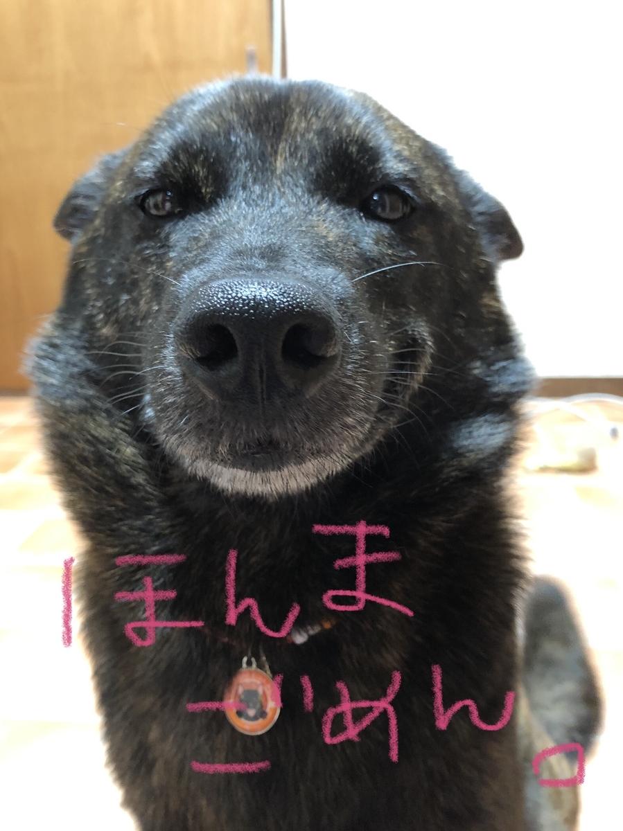f:id:drunkard_kim:20211014202137j:plain