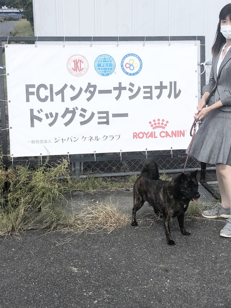 f:id:drunkard_kim:20211017113156j:plain