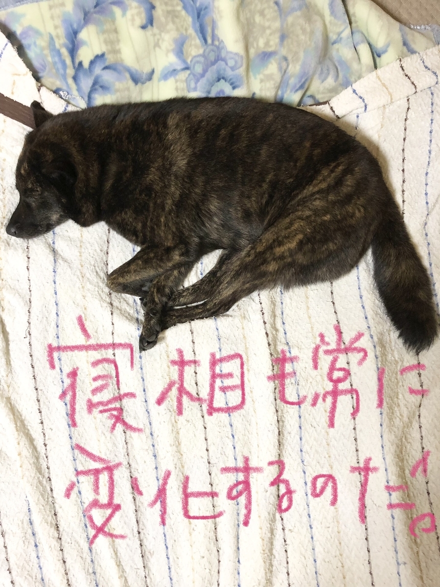f:id:drunkard_kim:20211029074202j:plain